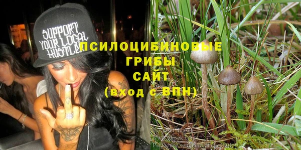 гидропоника Алзамай