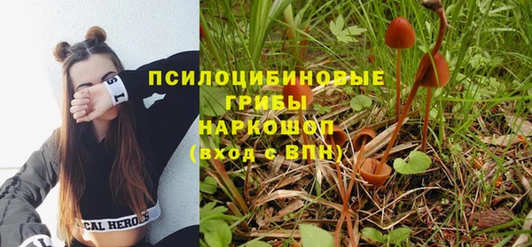 гидропоника Алзамай