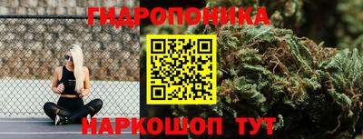 прущие грибы Баксан