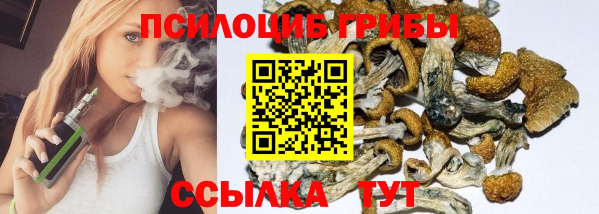 Галлюциногенные грибы Psilocybine cubensis  Вход с VPN  Иркутск 